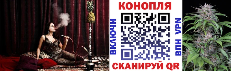 Бошки марихуана гибрид Миллерово